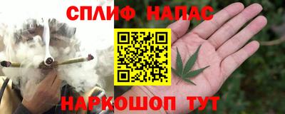 шишки Будённовск