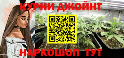 шишки Будённовск
