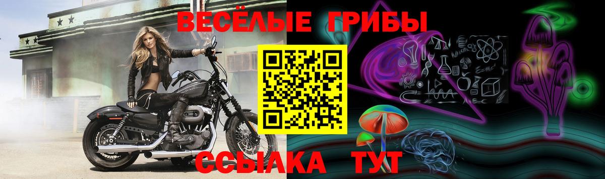 Псилоцибиновые грибы прущие грибы Невинномысск