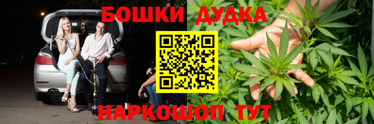 Каннабис индика Невинномысск